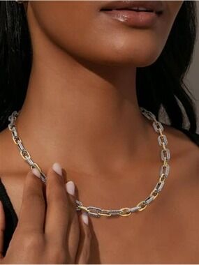 Chic 2 Tone Twisted Link Chain Necklace